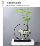 Creative Bamboo succulent pot rich tree bonsai iron tree rice bamboo indoor floating island suspended iron micro landscape pot