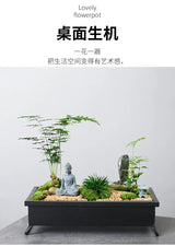 Creative Bamboo succulent pot rich tree bonsai iron tree rice bamboo indoor floating island suspended iron micro landscape pot