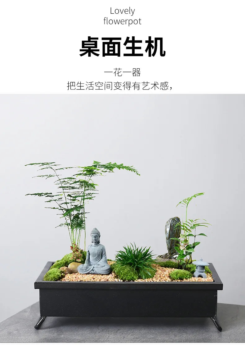 Creative Bamboo succulent pot rich tree bonsai iron tree rice bamboo indoor floating island suspended iron micro landscape pot