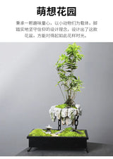 Creative Bamboo succulent pot rich tree bonsai iron tree rice bamboo indoor floating island suspended iron micro landscape pot